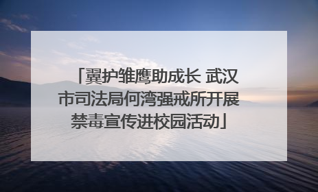 翼护雏鹰助成长 武汉市司法局何湾强戒所开展禁毒宣传进校园活动