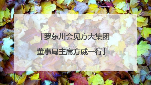 罗东川会见方大集团董事局主席方威一行