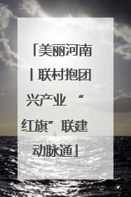 美丽河南丨联村抱团兴产业 “红旗”联建动脉通