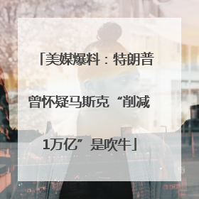 美媒爆料：特朗普曾怀疑马斯克“削减1万亿”是吹牛
