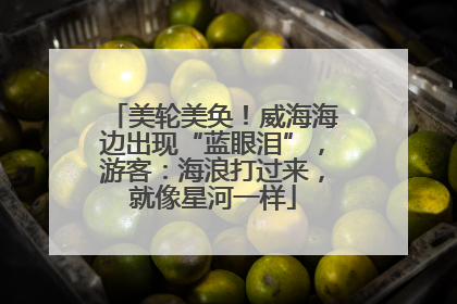 美轮美奂！威海海边出现“蓝眼泪”，游客：海浪打过来，就像星河一样