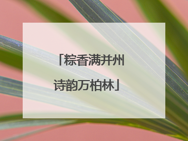 粽香满并州 诗韵万柏林