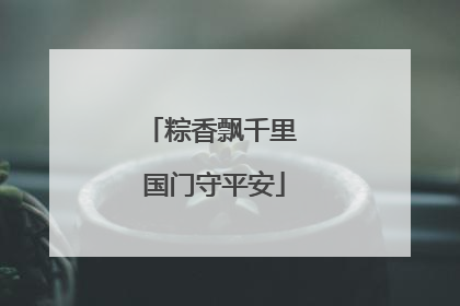 粽香飘千里 国门守平安