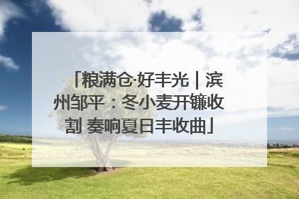 粮满仓·好丰光｜滨州邹平：冬小麦开镰收割 奏响夏日丰收曲