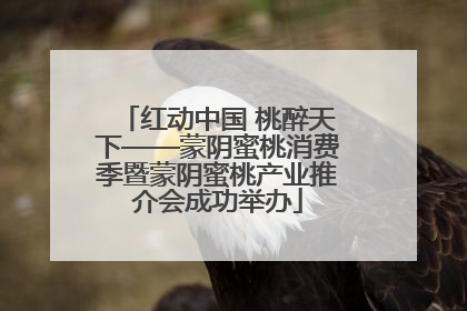 红动中国 桃醉天下——蒙阴蜜桃消费季暨蒙阴蜜桃产业推介会成功举办