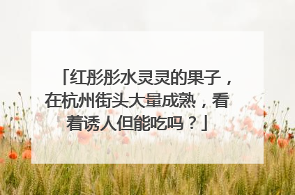 红彤彤水灵灵的果子，在杭州街头大量成熟，看着诱人但能吃吗？