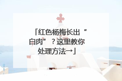 红色杨梅长出“白肉”？这里教你处理方法→