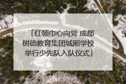 红领巾心向党 成都树德教育集团城厢学校举行少先队入队仪式