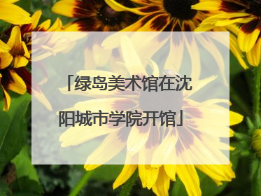 绿岛美术馆在沈阳城市学院开馆