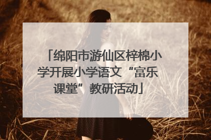 绵阳市游仙区梓棉小学开展小学语文“富乐课堂”教研活动