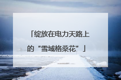 绽放在电力天路上的“雪域格桑花”