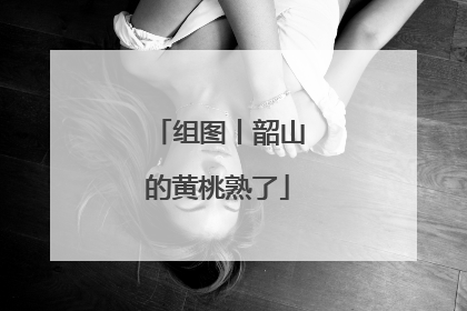 组图丨韶山的黄桃熟了
