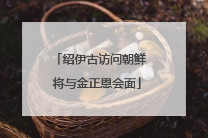 绍伊古访问朝鲜 将与金正恩会面