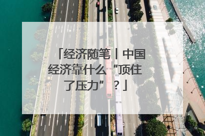 经济随笔丨中国经济靠什么“顶住了压力”？