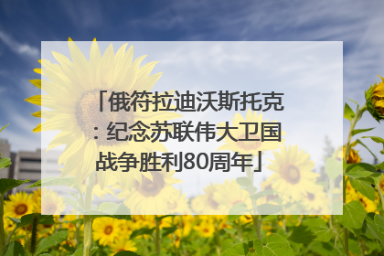 俄符拉迪沃斯托克：纪念苏联伟大卫国战争胜利80周年