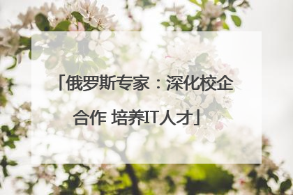 俄罗斯专家：深化校企合作 培养IT人才