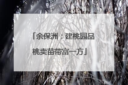 余保洲：建桃园品桃卖苗带富一方