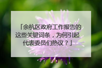余杭区政府工作报告的这些关键词条，为何引起代表委员们热议？