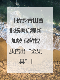 侨乡青田首批杨梅启程新加坡 保鲜提质售出“金果果”