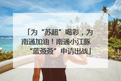 为“苏超”喝彩，为南通加油！南通小江豚“蓝叒叒”申请出战