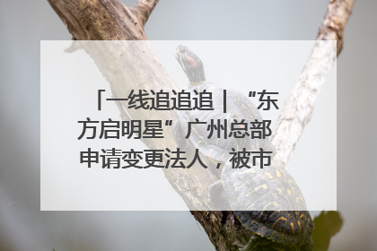 一线追追追｜“东方启明星”广州总部申请变更法人，被市场监管部门限制