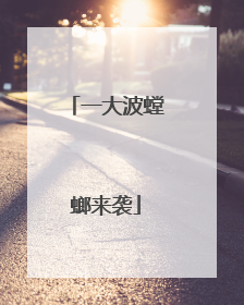 一大波螳螂来袭
