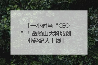 一小时当“CEO”！岳麓山大科城创业经纪人上线