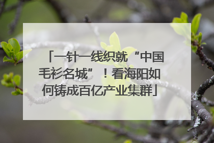 一针一线织就“中国毛衫名城”！看海阳如何铸成百亿产业集群