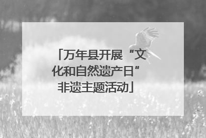 万年县开展“文化和自然遗产日”非遗主题活动
