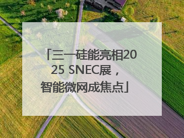 三一硅能亮相2025 SNEC展，智能微网成焦点