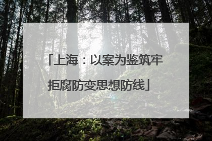 上海：以案为鉴筑牢拒腐防变思想防线