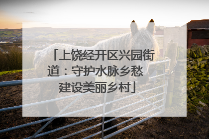 上饶经开区兴园街道：守护水脉乡愁 建设美丽乡村