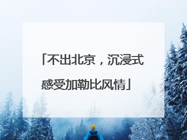 不出北京，沉浸式感受加勒比风情