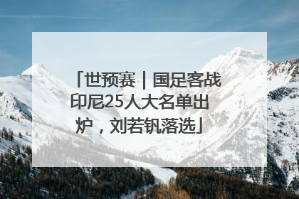 世预赛｜国足客战印尼25人大名单出炉，刘若钒落选