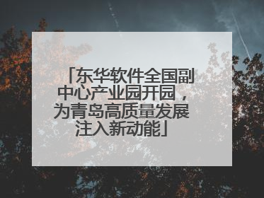 东华软件全国副中心产业园开园，为青岛高质量发展注入新动能