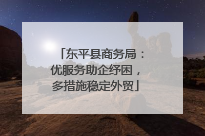 东平县商务局：优服务助企纾困，多措施稳定外贸