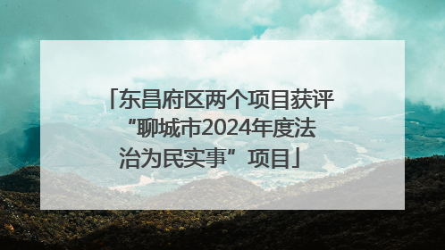 东昌府区两个项目获评“聊城市2024年度法治为民实事”项目