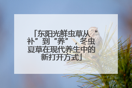 东阳光鲜虫草从“补”到“养”，冬虫夏草在现代养生中的新打开方式