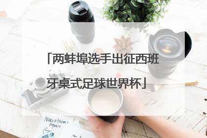 两蚌埠选手出征西班牙桌式足球世界杯