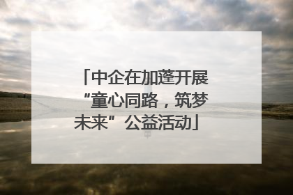 中企在加蓬开展“童心同路，筑梦未来”公益活动