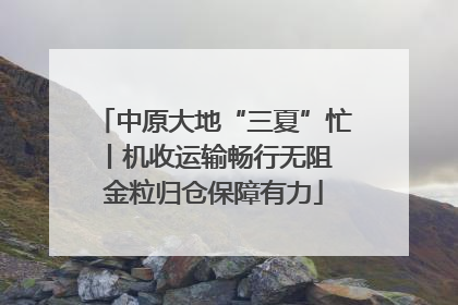 中原大地“三夏”忙丨机收运输畅行无阻 金粒归仓保障有力