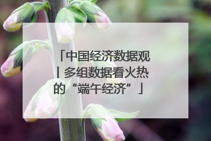 中国经济数据观丨多组数据看火热的“端午经济”