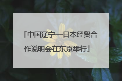 中国辽宁—日本经贸合作说明会在东京举行
