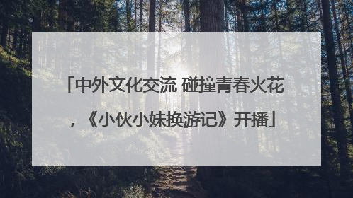 中外文化交流 碰撞青春火花，《小伙小妹换游记》开播