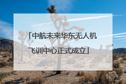 中航未来华东无人机飞训中心正式成立