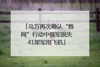 乌方再次确认“蛛网”行动中俄军损失41架军用飞机