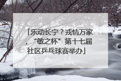 乐动长宁？戎情万家，“敏之杯”第十七届社区乒乓球赛举办