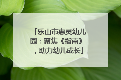 乐山市惠灵幼儿园：聚焦《指南》，助力幼儿成长