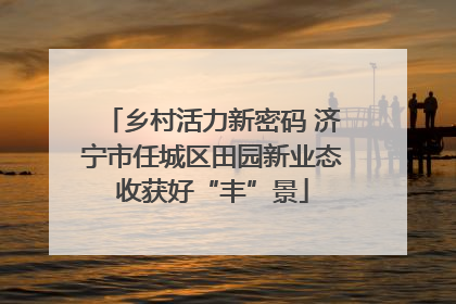 乡村活力新密码 济宁市任城区田园新业态收获好“丰”景