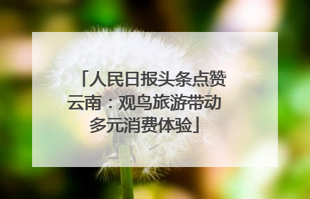 人民日报头条点赞云南：观鸟旅游带动多元消费体验